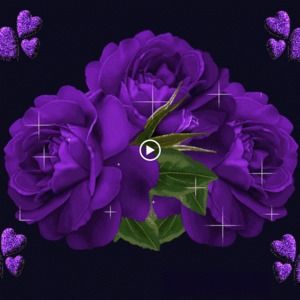 Meet your Posher, Celia